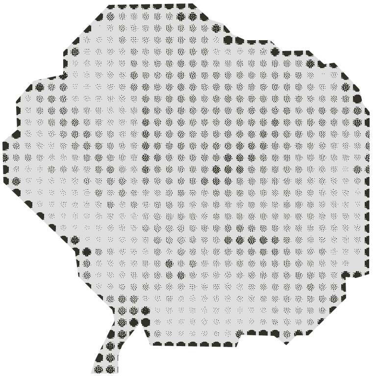 vasarely morning glory